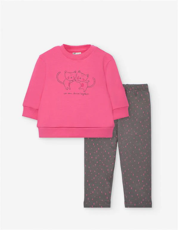 CONJUNTO LOSAN